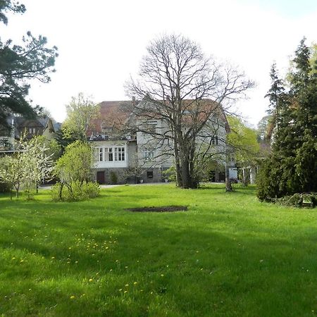 Pension Haus Marga Hotel Wernigerode Exterior photo