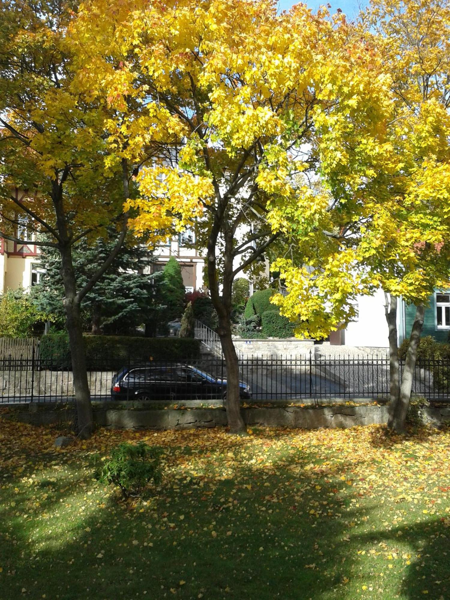 Pension Haus Marga Hotel Wernigerode Exterior photo